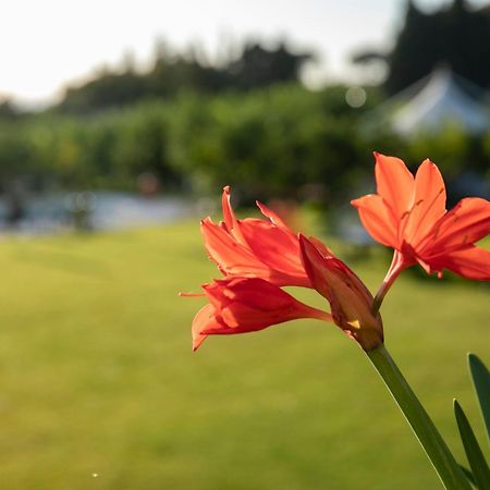 Agriturismo San Leonardello Eksteriør billede