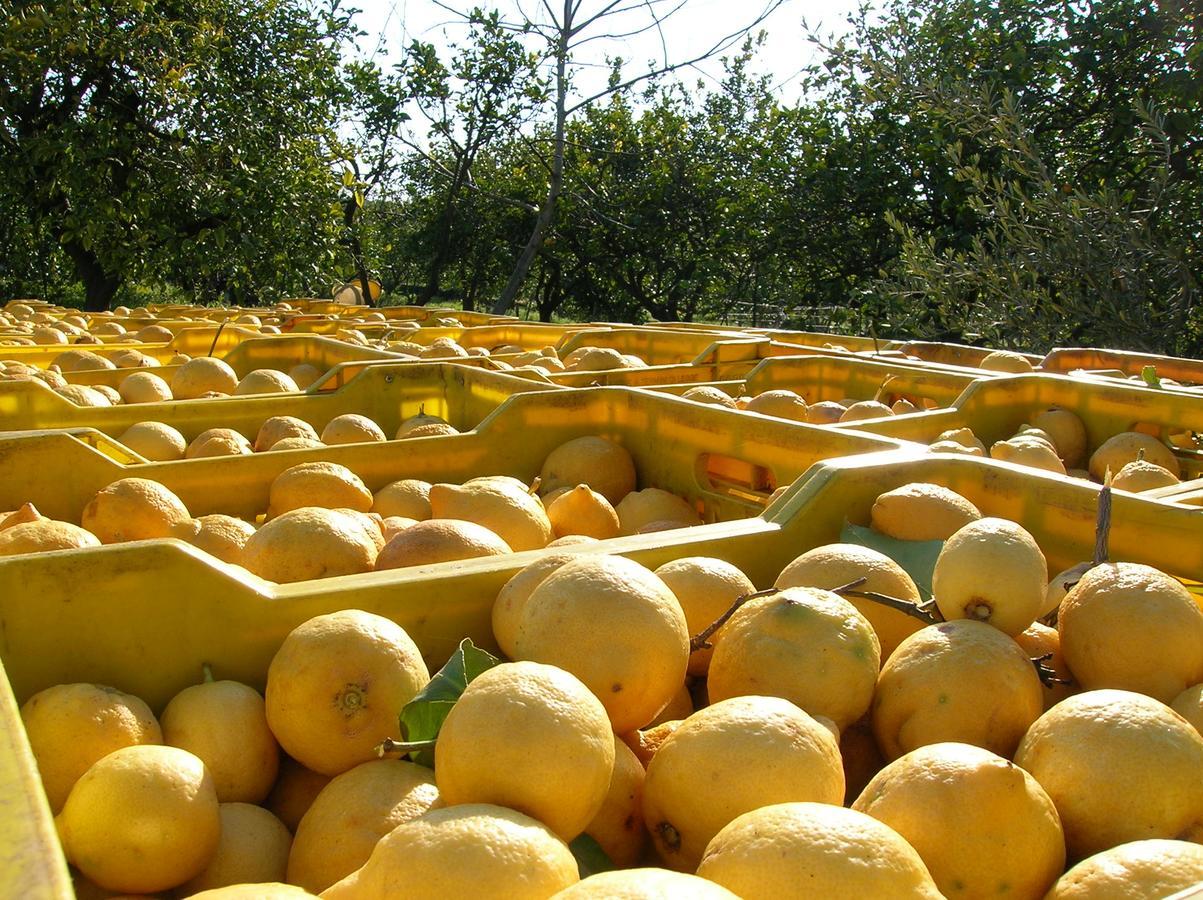 Agriturismo San Leonardello Eksteriør billede